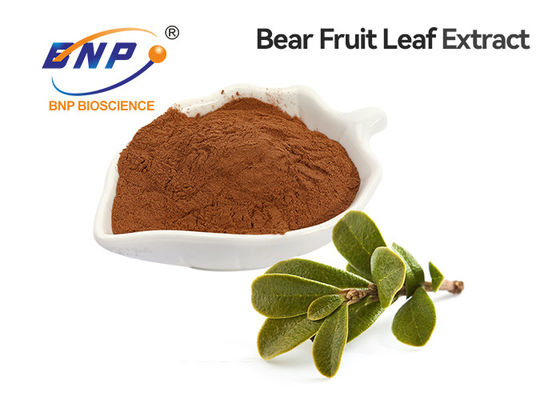 Bear Fruit Leaf Extract Arbutin Brown yellow Powder