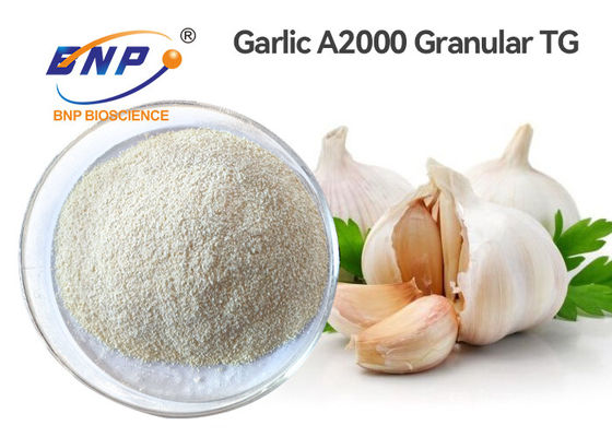 A2000 Granular Organic Garlic Extract Powder In Pharmaceutical Field