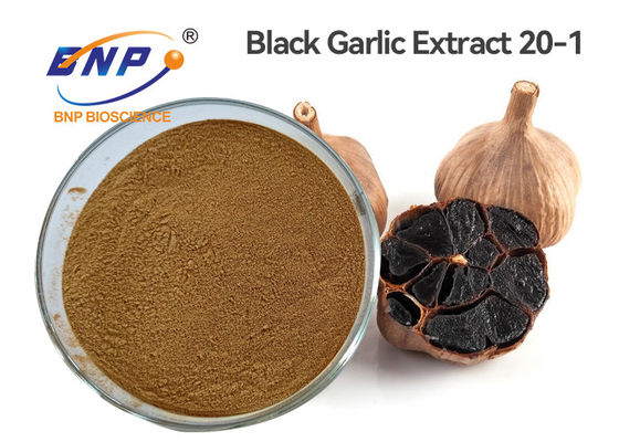 20-1 Healthcare Black Garlic Extract Brown Yellow powder