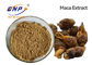 Lepidium Meyenii Natural Plant Extracts Light Brown Organic Maca Root Powder